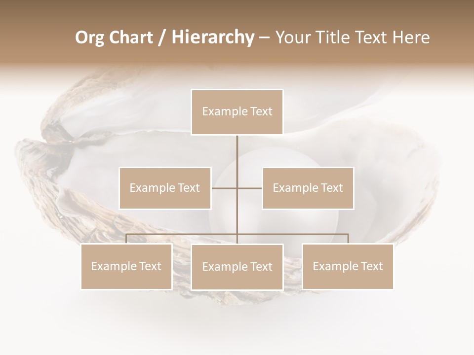 Rare Marine Opened PowerPoint Template