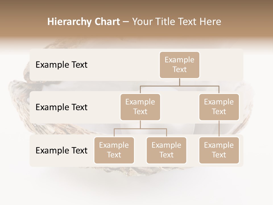 Rare Marine Opened PowerPoint Template