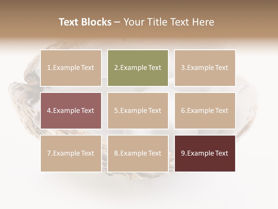 Rare Marine Opened PowerPoint Template