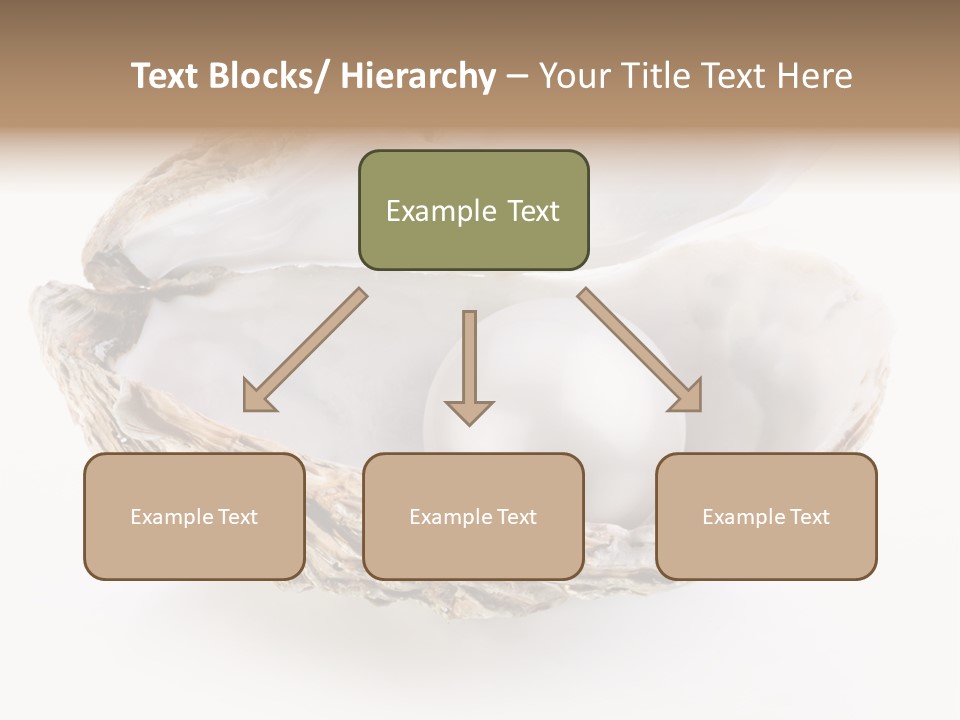 Rare Marine Opened PowerPoint Template