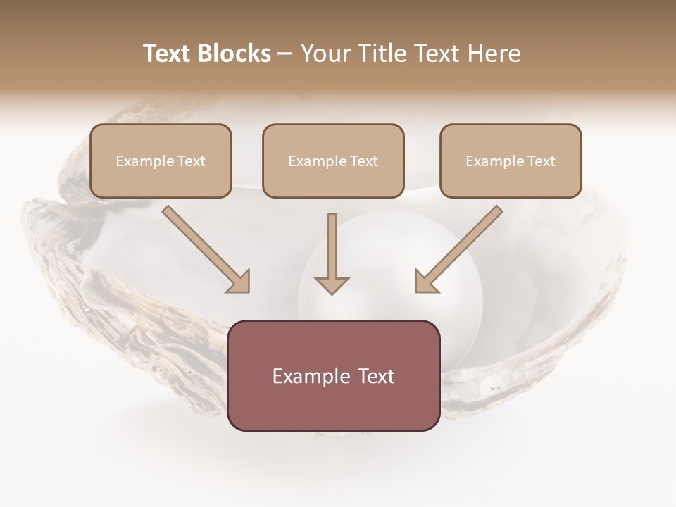 Rare Marine Opened PowerPoint Template