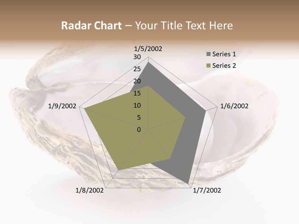 Rare Marine Opened PowerPoint Template