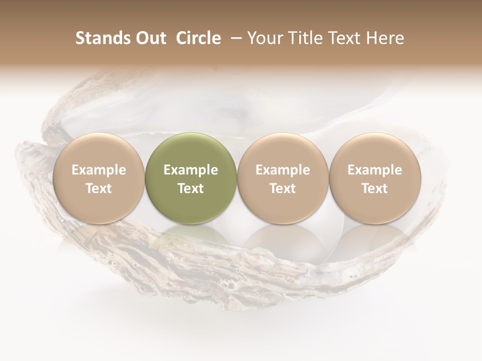 Rare Marine Opened PowerPoint Template