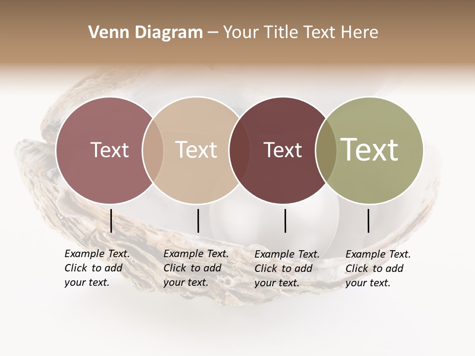 Rare Marine Opened PowerPoint Template