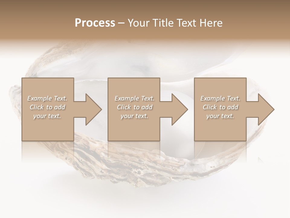 Rare Marine Opened PowerPoint Template