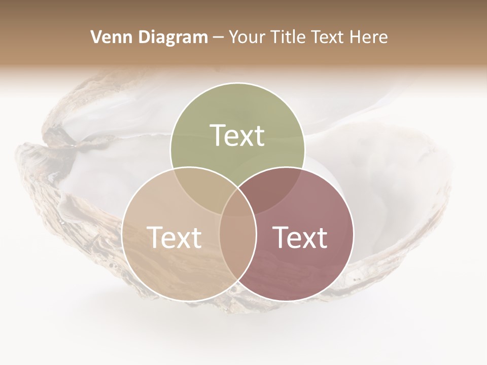 Rare Marine Opened PowerPoint Template