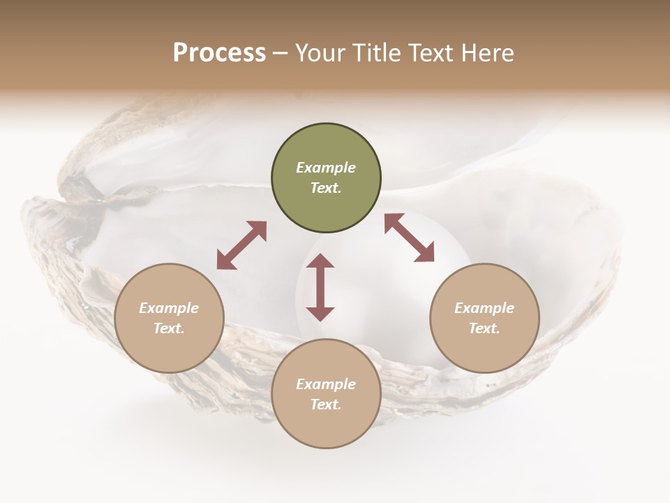 Rare Marine Opened PowerPoint Template