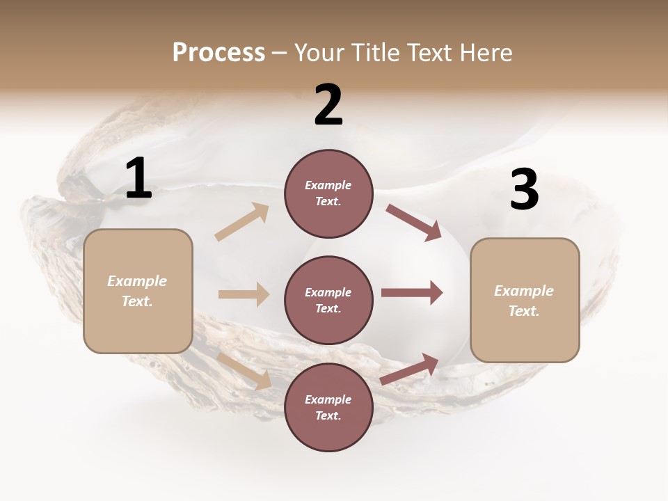 Rare Marine Opened PowerPoint Template