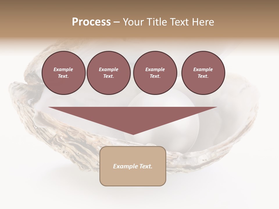 Rare Marine Opened PowerPoint Template