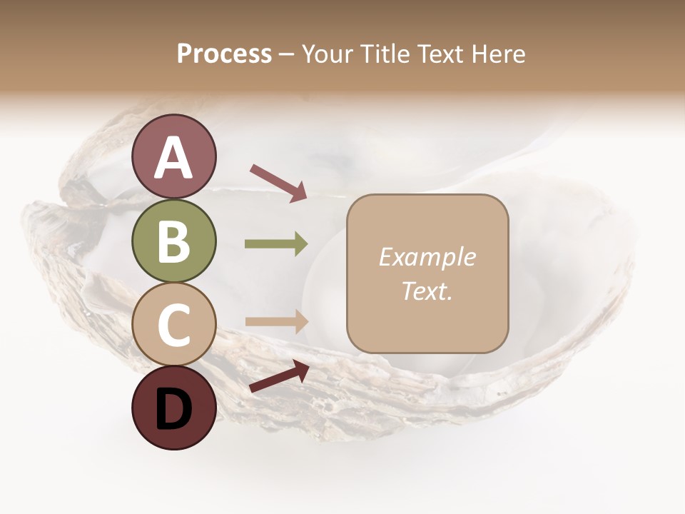 Rare Marine Opened PowerPoint Template