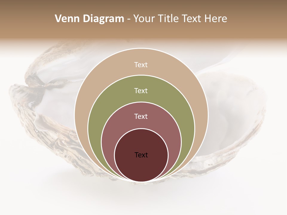 Rare Marine Opened PowerPoint Template