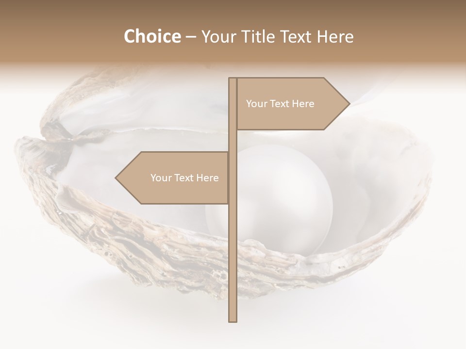 Rare Marine Opened PowerPoint Template