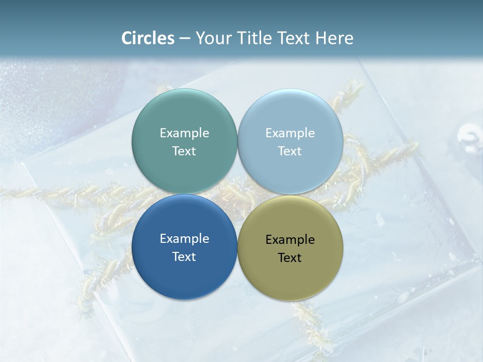 Magic Macro Holiday PowerPoint Template