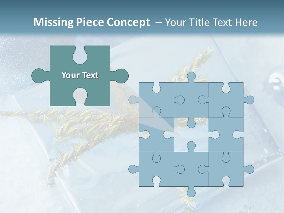 Magic Macro Holiday PowerPoint Template