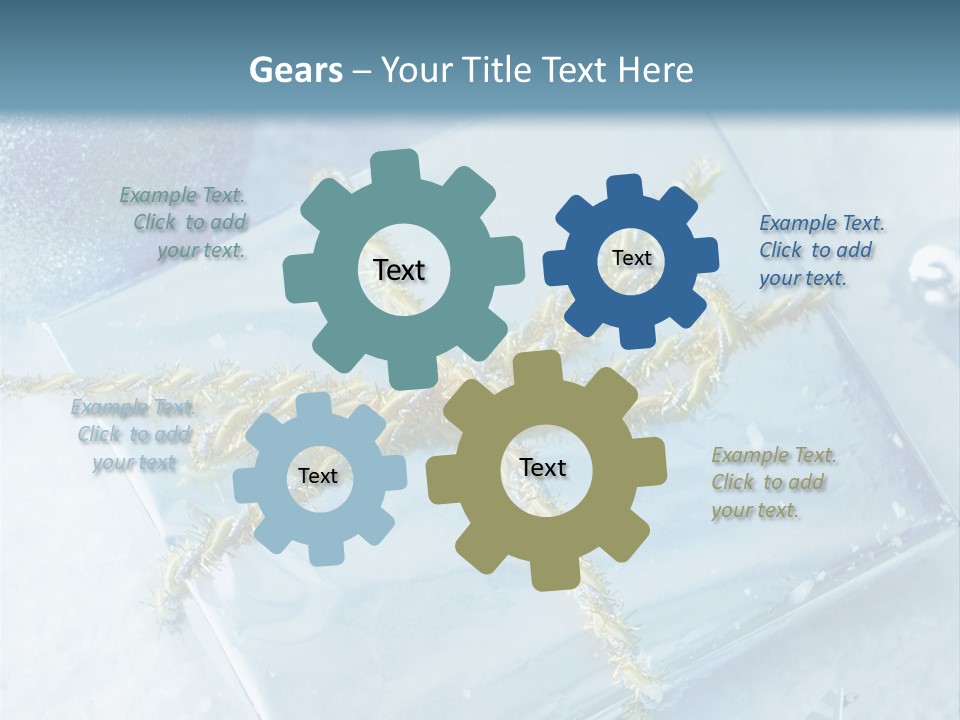 Magic Macro Holiday PowerPoint Template