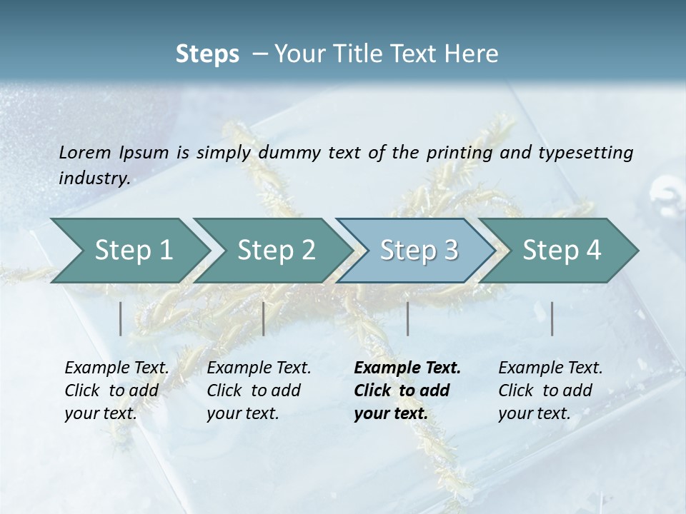Magic Macro Holiday PowerPoint Template