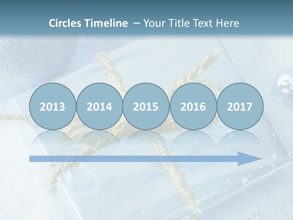 Magic Macro Holiday PowerPoint Template