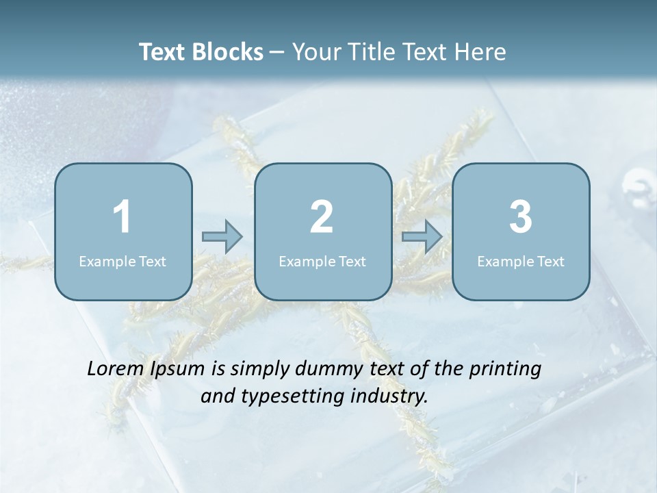 Magic Macro Holiday PowerPoint Template
