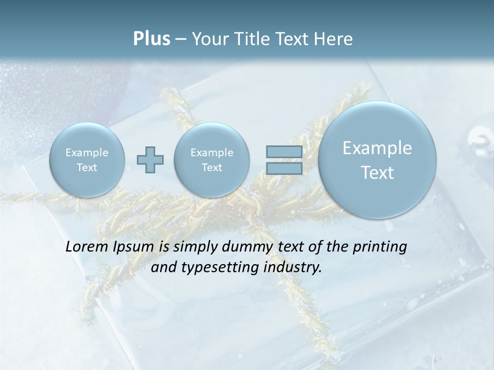 Magic Macro Holiday PowerPoint Template