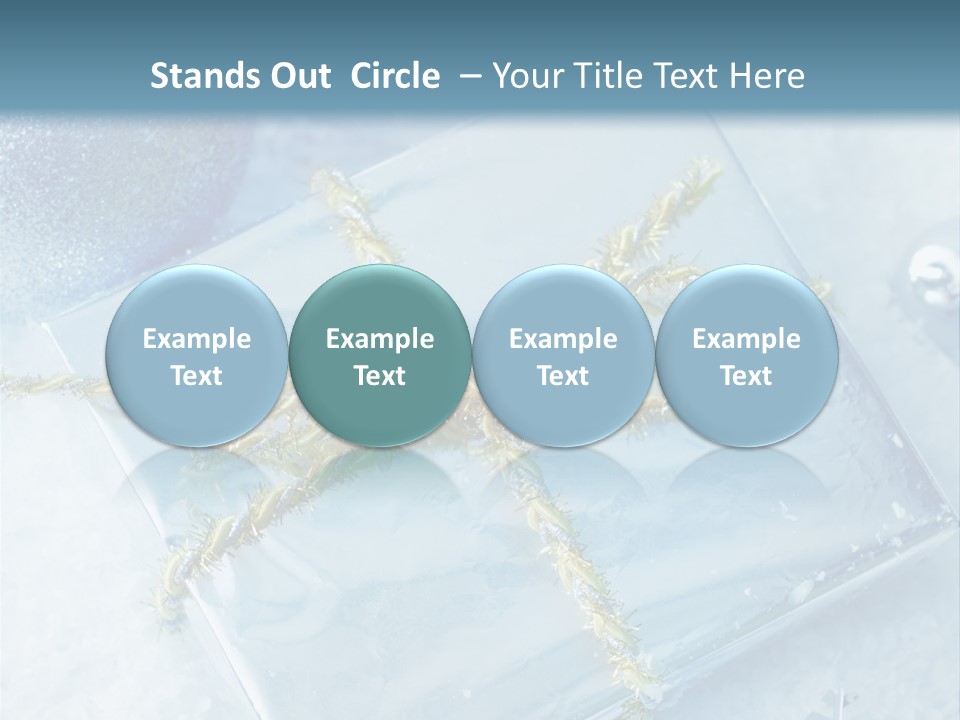 Magic Macro Holiday PowerPoint Template