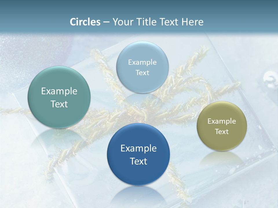 Magic Macro Holiday PowerPoint Template