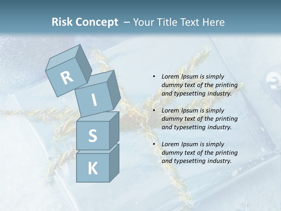 Magic Macro Holiday PowerPoint Template