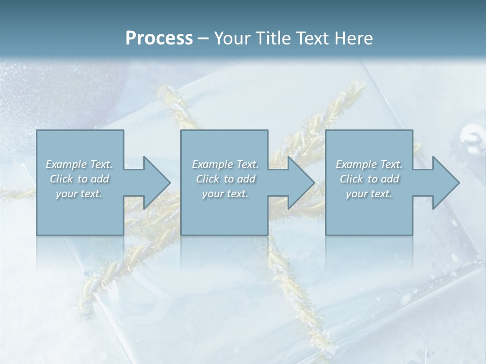Magic Macro Holiday PowerPoint Template