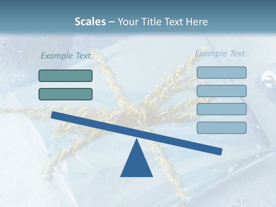 Magic Macro Holiday PowerPoint Template