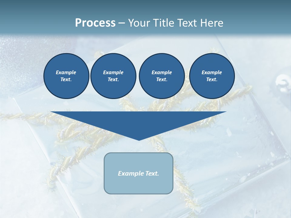 Magic Macro Holiday PowerPoint Template