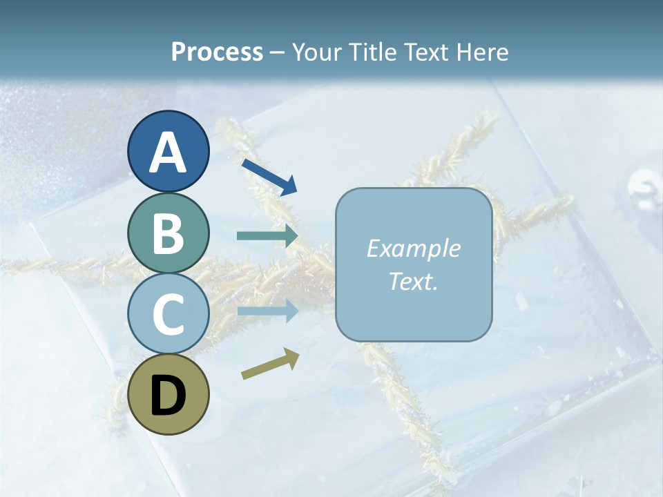 Magic Macro Holiday PowerPoint Template