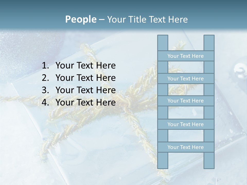 Magic Macro Holiday PowerPoint Template