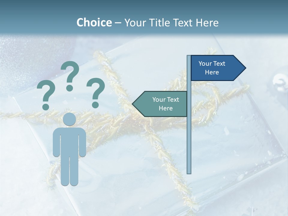 Magic Macro Holiday PowerPoint Template