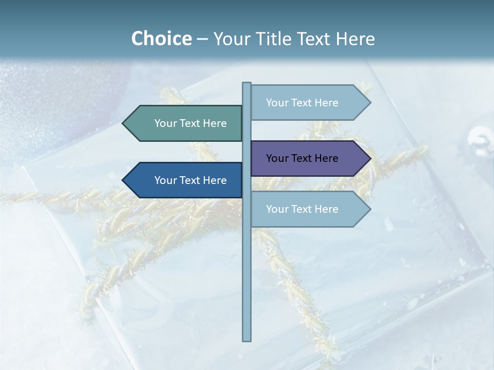 Magic Macro Holiday PowerPoint Template
