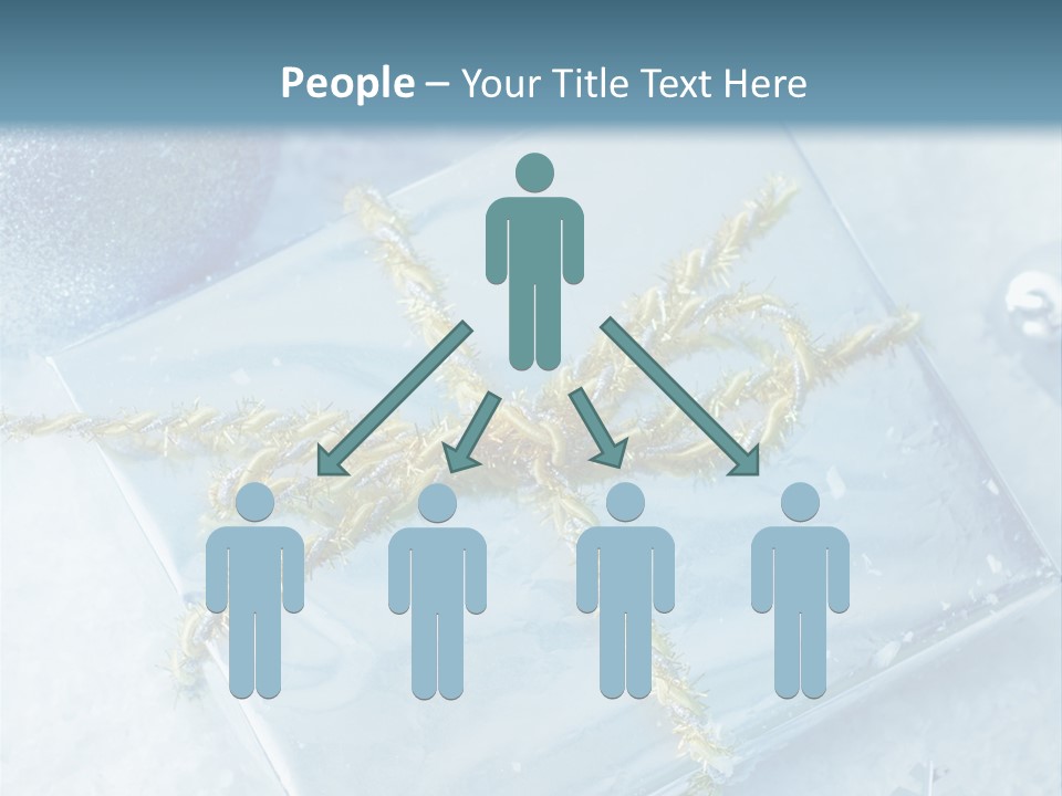 Magic Macro Holiday PowerPoint Template