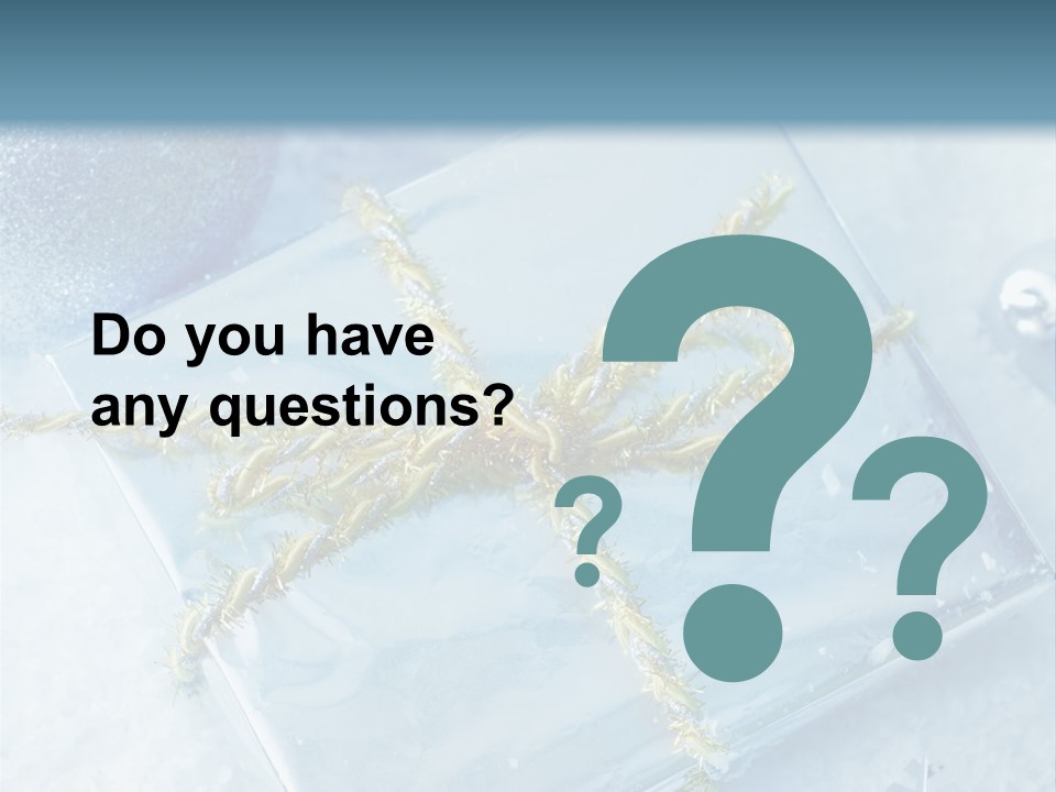 Magic Macro Holiday PowerPoint Template