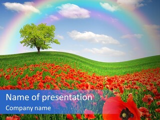 Barley Opium Field PowerPoint Template