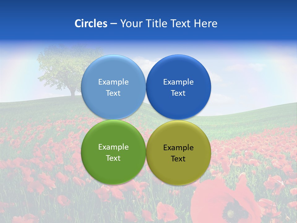 Barley Opium Field PowerPoint Template