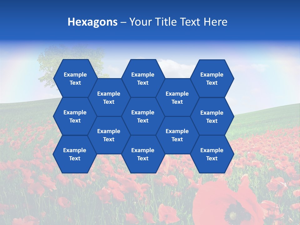 Barley Opium Field PowerPoint Template