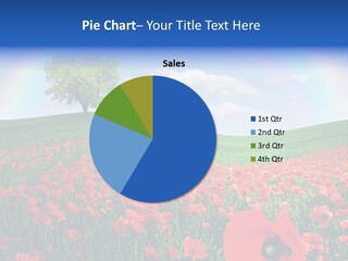 Barley Opium Field PowerPoint Template