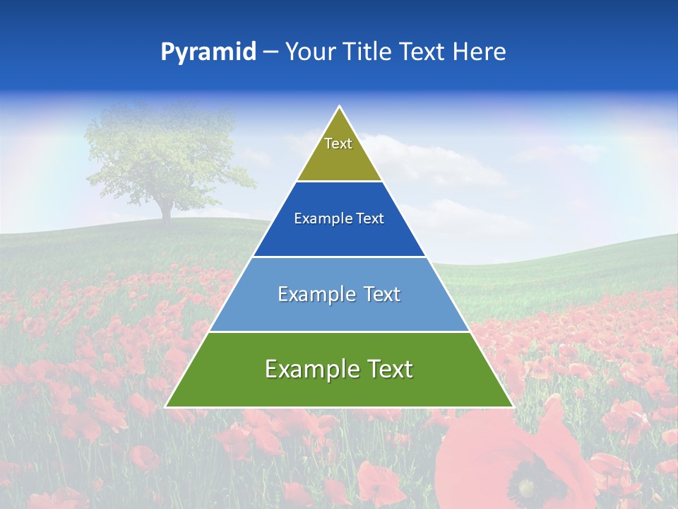 Barley Opium Field PowerPoint Template