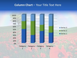 Barley Opium Field PowerPoint Template