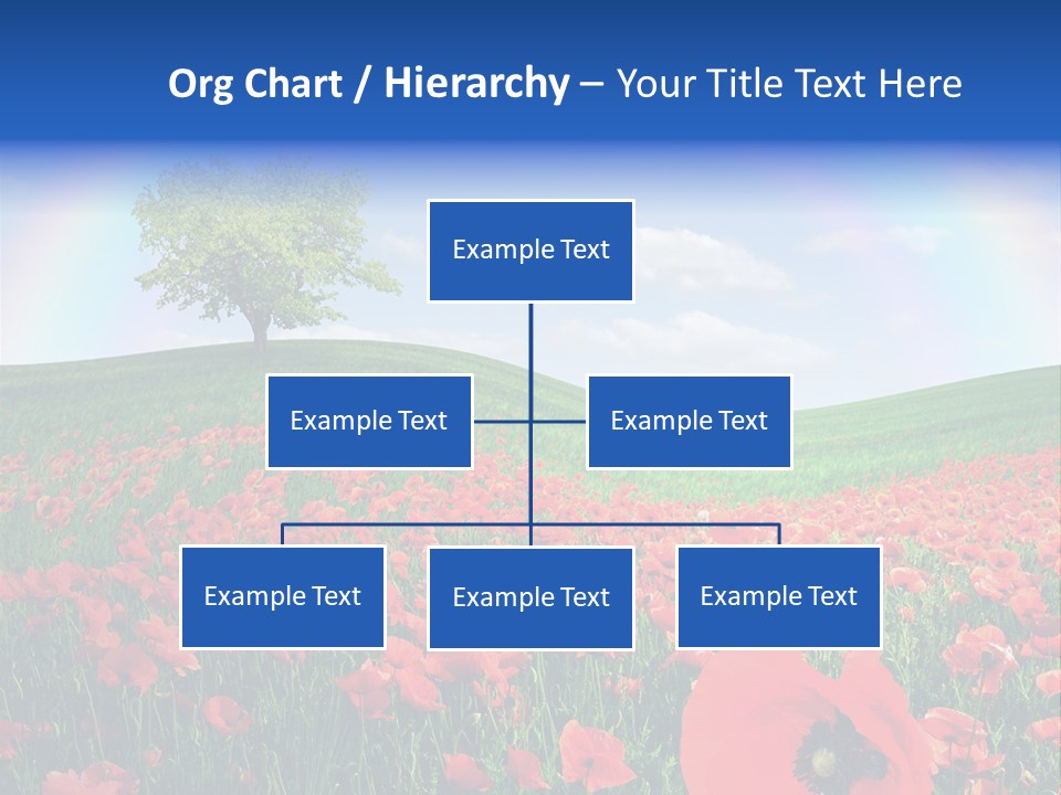 Barley Opium Field PowerPoint Template