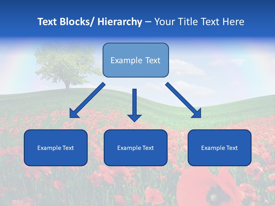 Barley Opium Field PowerPoint Template