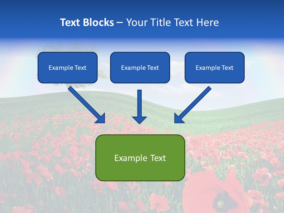 Barley Opium Field PowerPoint Template
