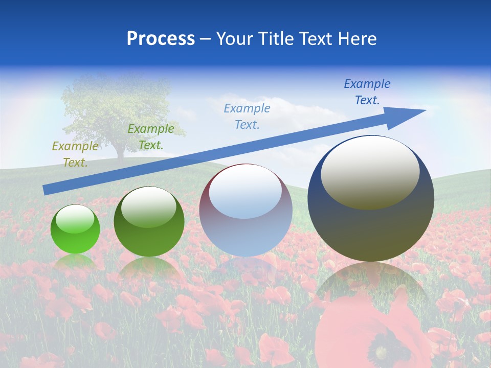 Barley Opium Field PowerPoint Template