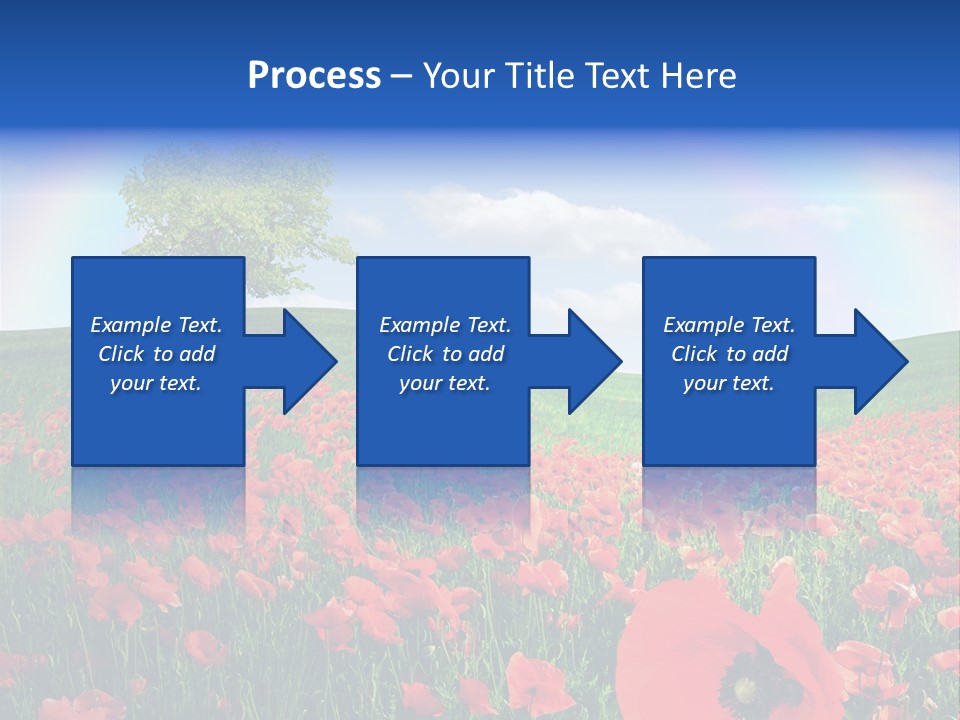 Barley Opium Field PowerPoint Template