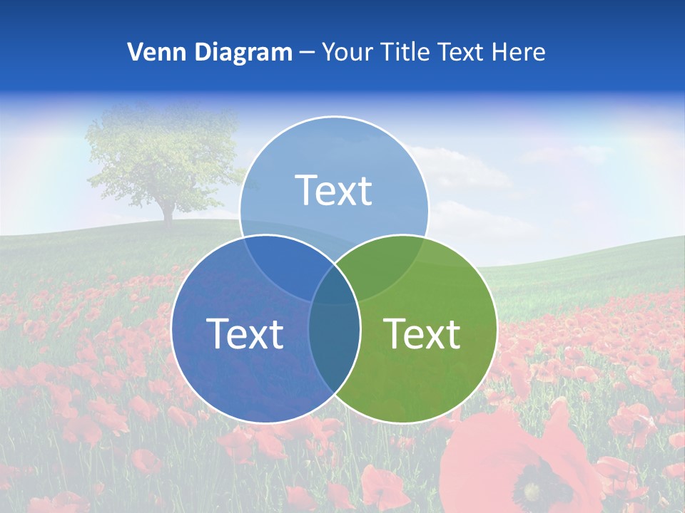 Barley Opium Field PowerPoint Template