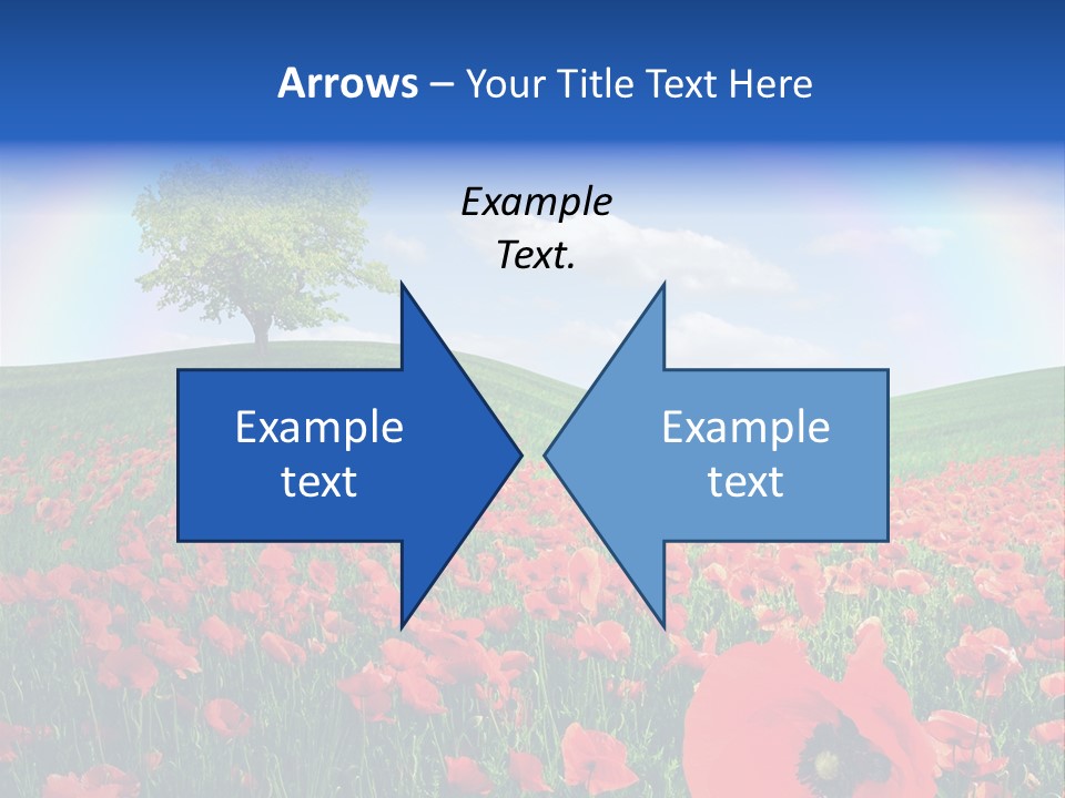 Barley Opium Field PowerPoint Template