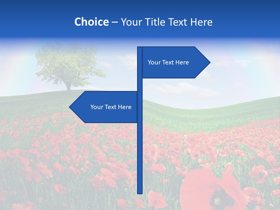 Barley Opium Field PowerPoint Template