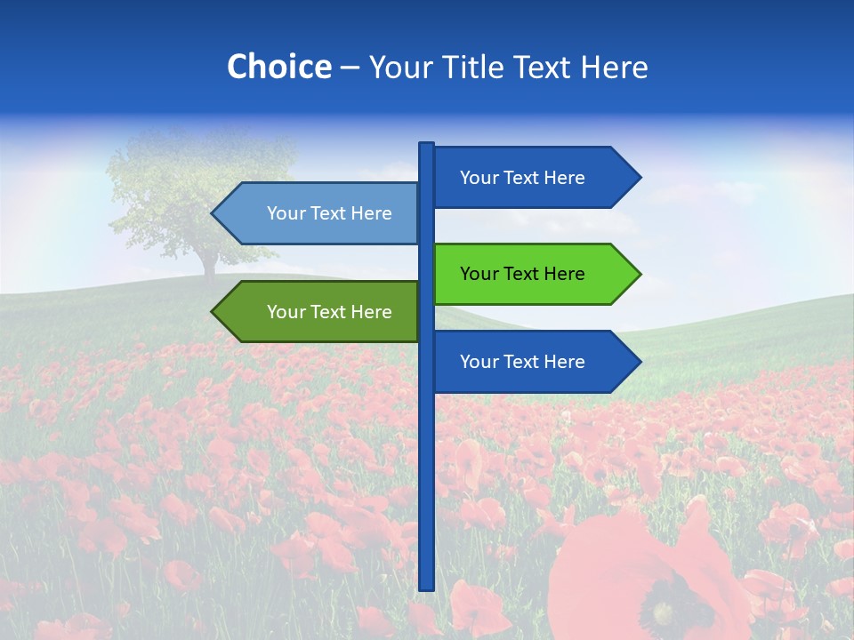 Barley Opium Field PowerPoint Template
